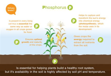  Yellow Phosphorus: Um Ativo-chave na Produção de Adubos e Outros Produtos Químicos Indispensáveis?